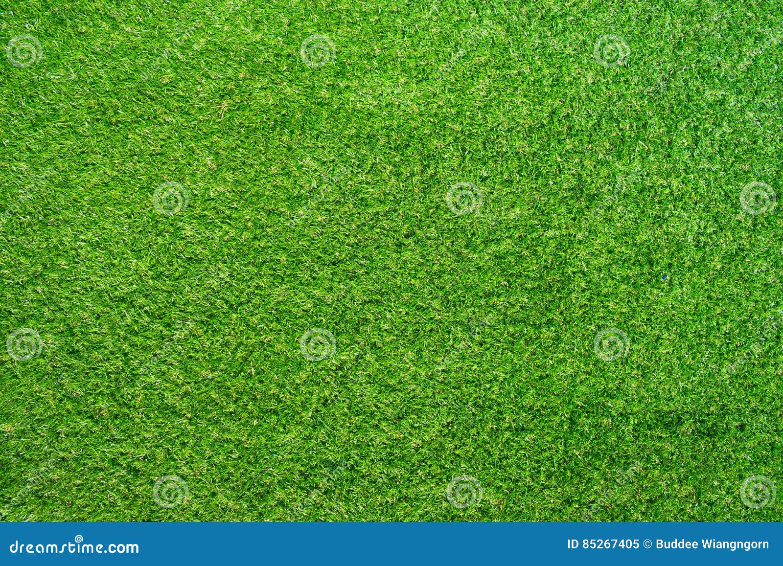 Artificial Grass Stock Image Image Of Texture Furniture