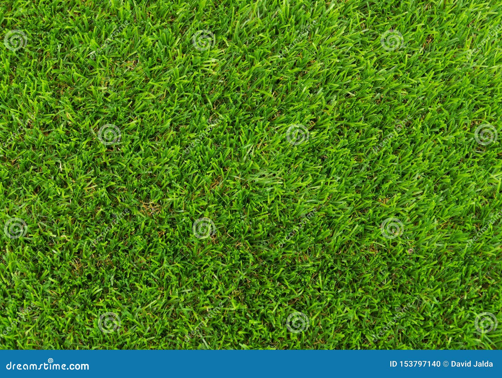 artificial grass plastic cesped