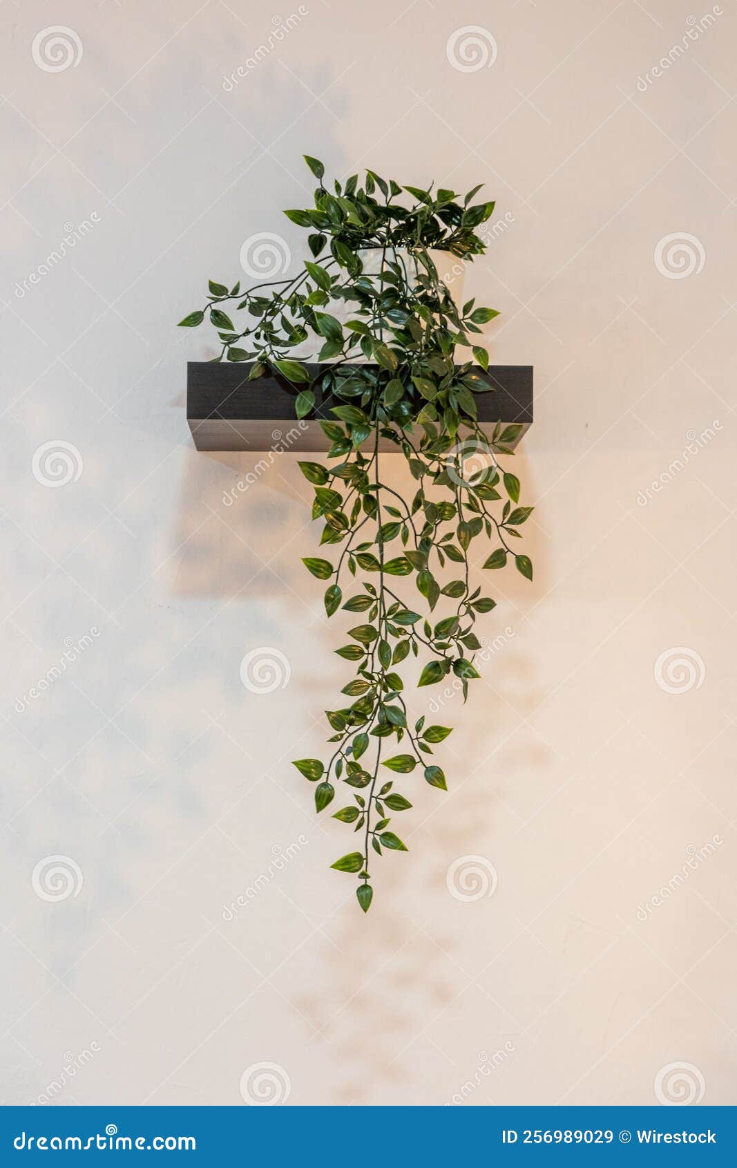 Artificial Green Plant on the Wall, Vertical Shot Stock Image Image