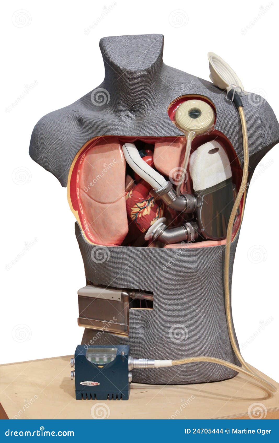 Artificial Heart Pump Editorial Stock Image Image 24705444