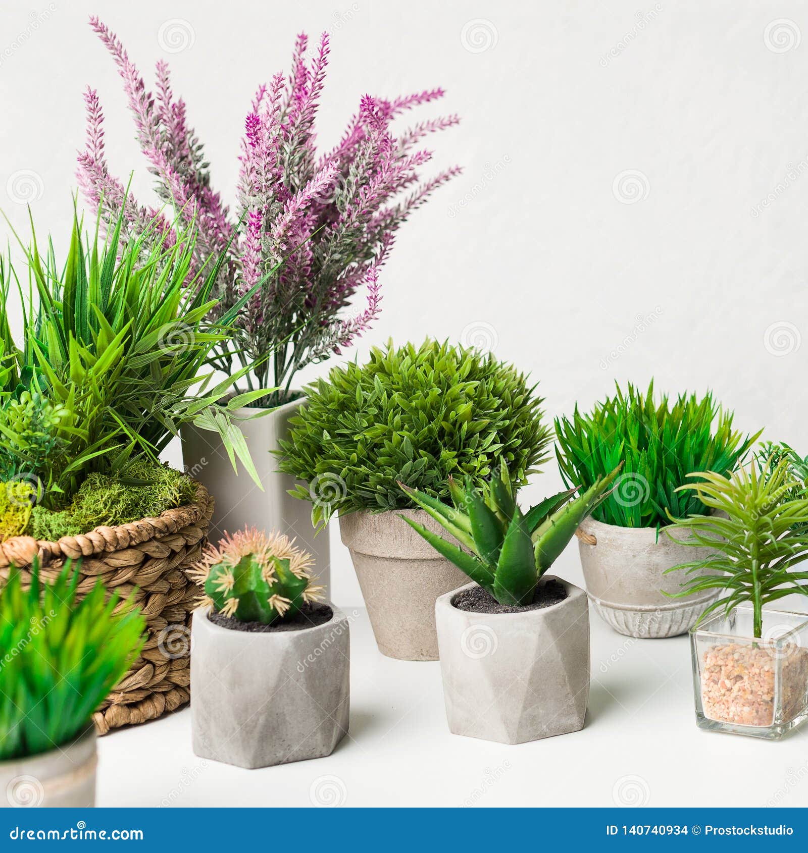 Artificial Houseplants in Different Pots Over White Wall Stock Photo