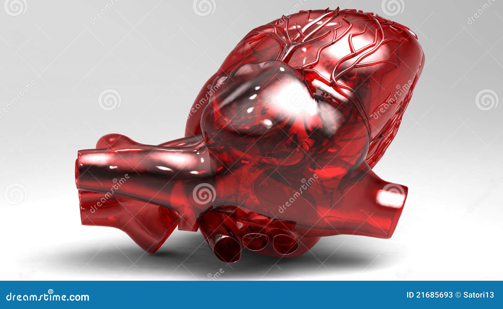 Artificial Human Heart Stock Photos Image 21685693