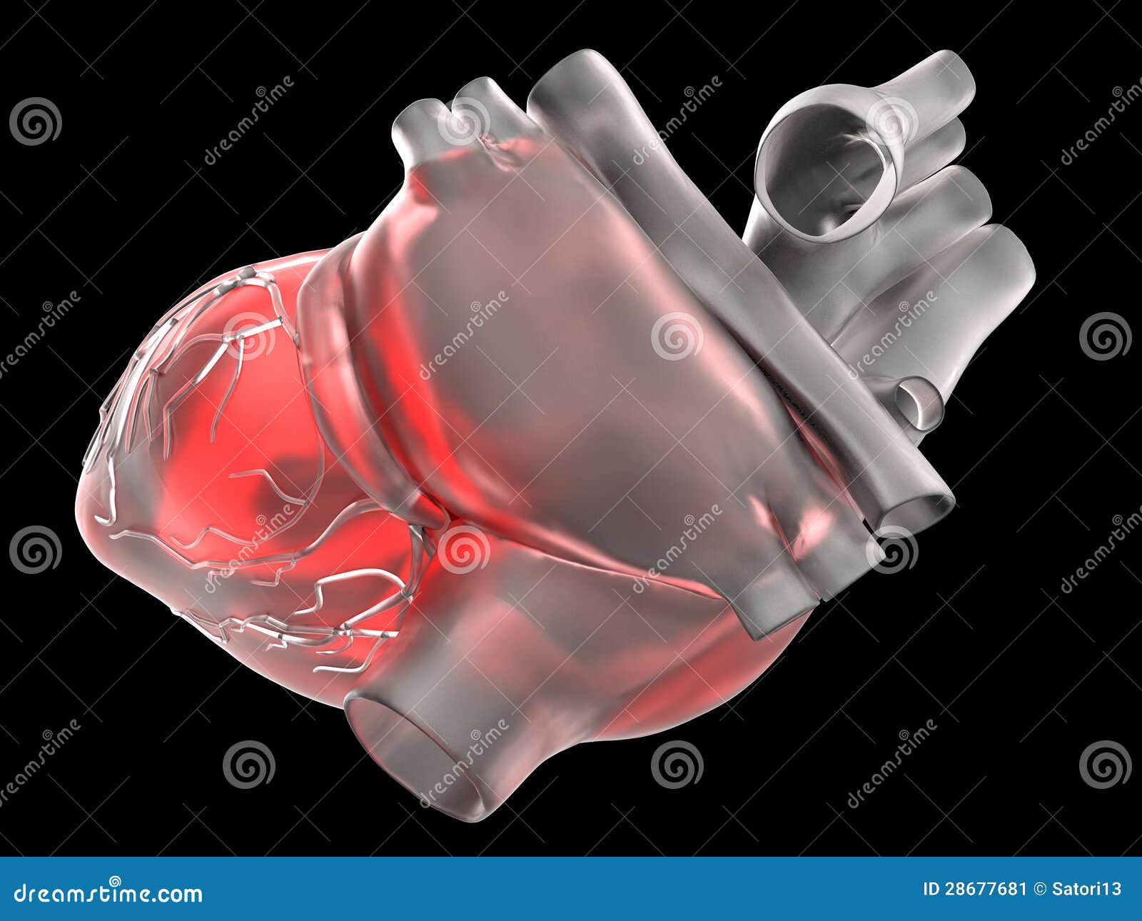 Artificial Human Heart Stock Illustration Illustration Of Model 28677681