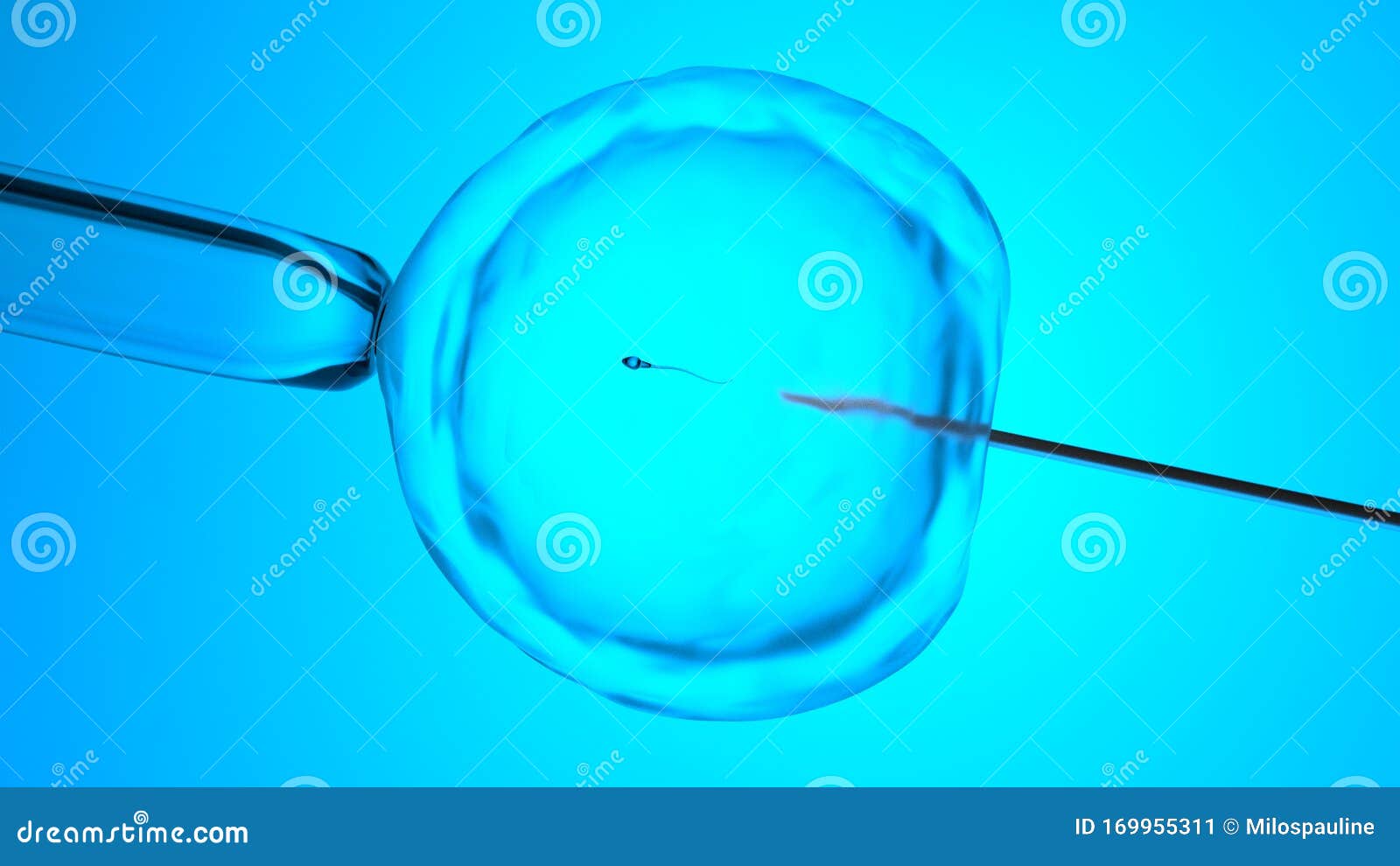 Artificial Insemination or in Vitro Fertilization, 3Drendering Stock Illustration