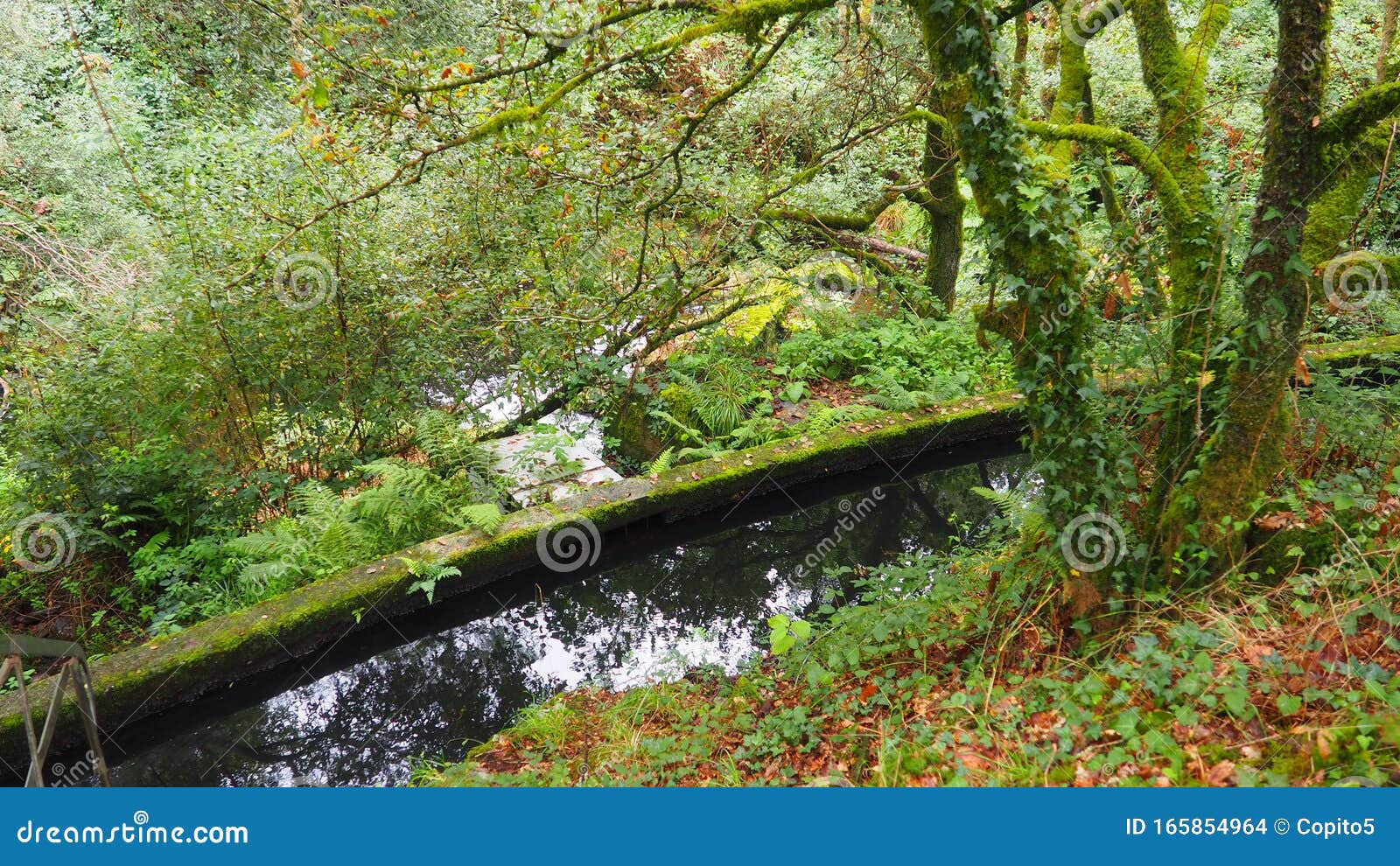 water channel in the natural park of silleda, pontevedra, spain, europe