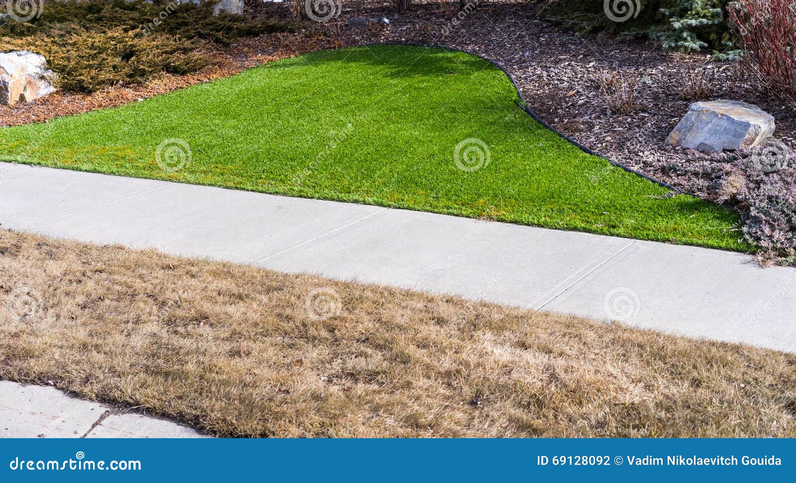Artificial lawn vs natural stock photo. Image of difference 69128092