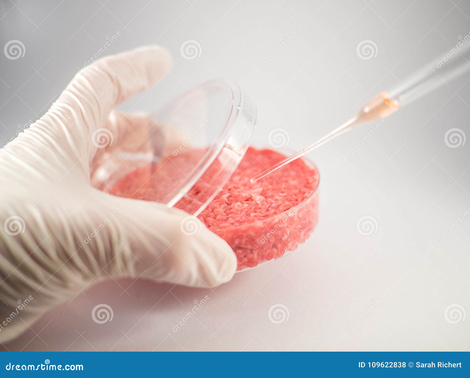 artificial meat research