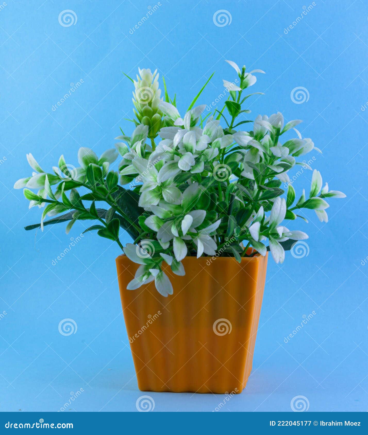 Artificial Plant in a Plastic Orange Vase. with Blue Background. Stock