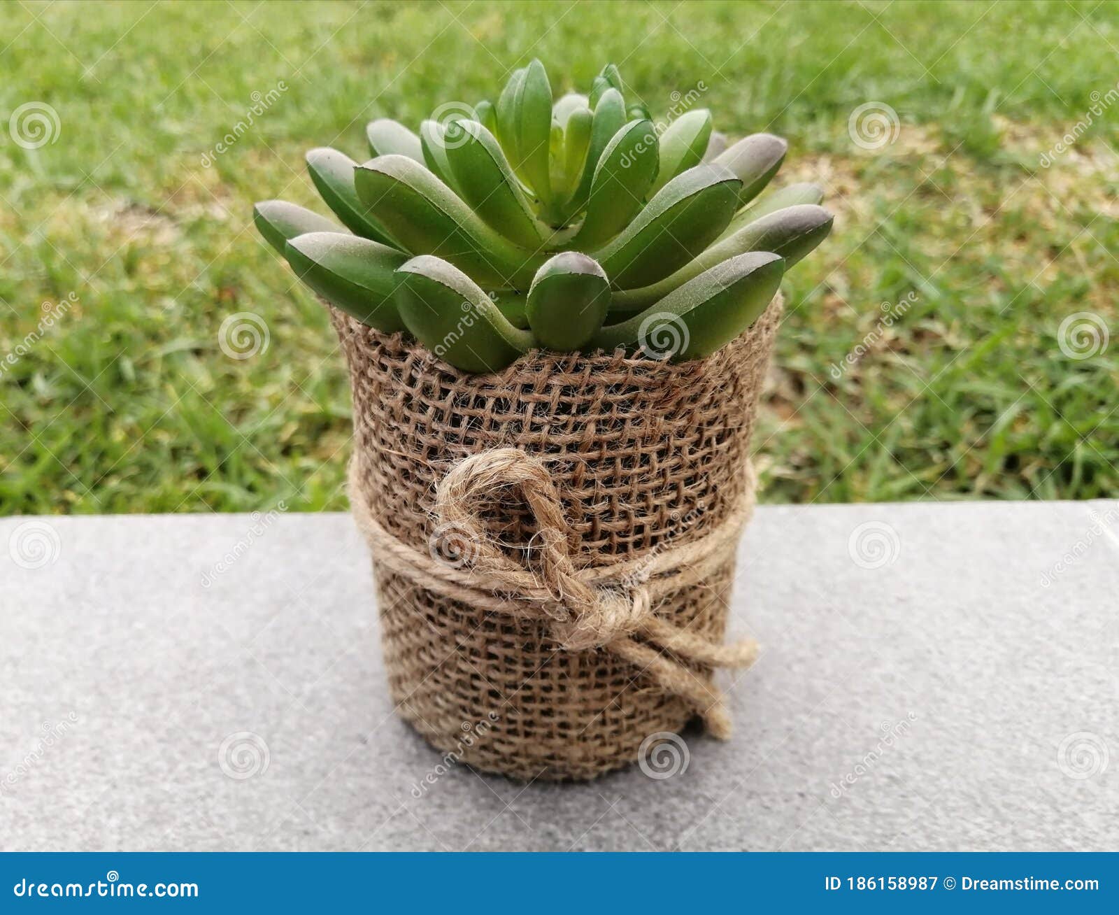 artificial plant in a pot