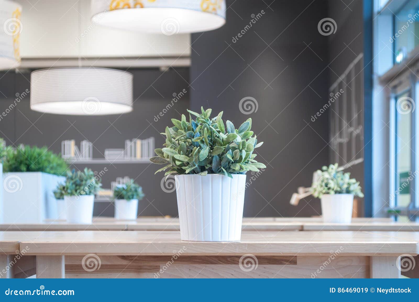 Artificial Plants in the Interior Restaurant Stock Image Image of