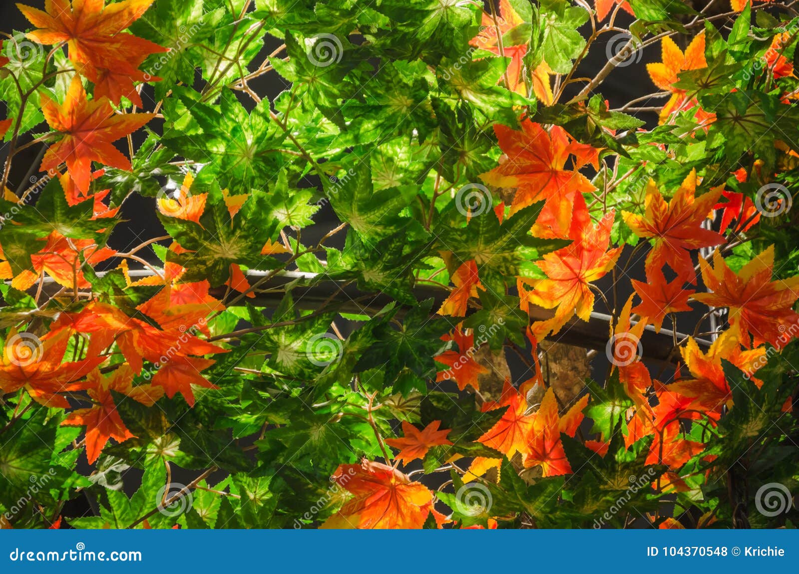 Plastic maple leaves stock photo. Image of bright, fall 104370548