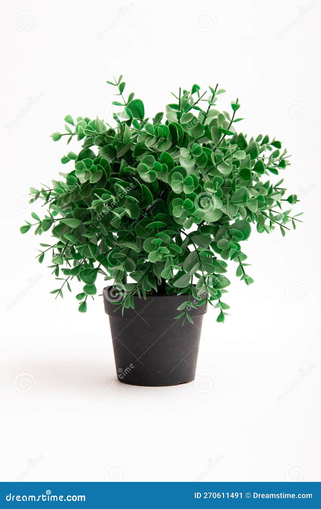 Artificial Plastic Small Green Plant in Black Pot Isolated on White