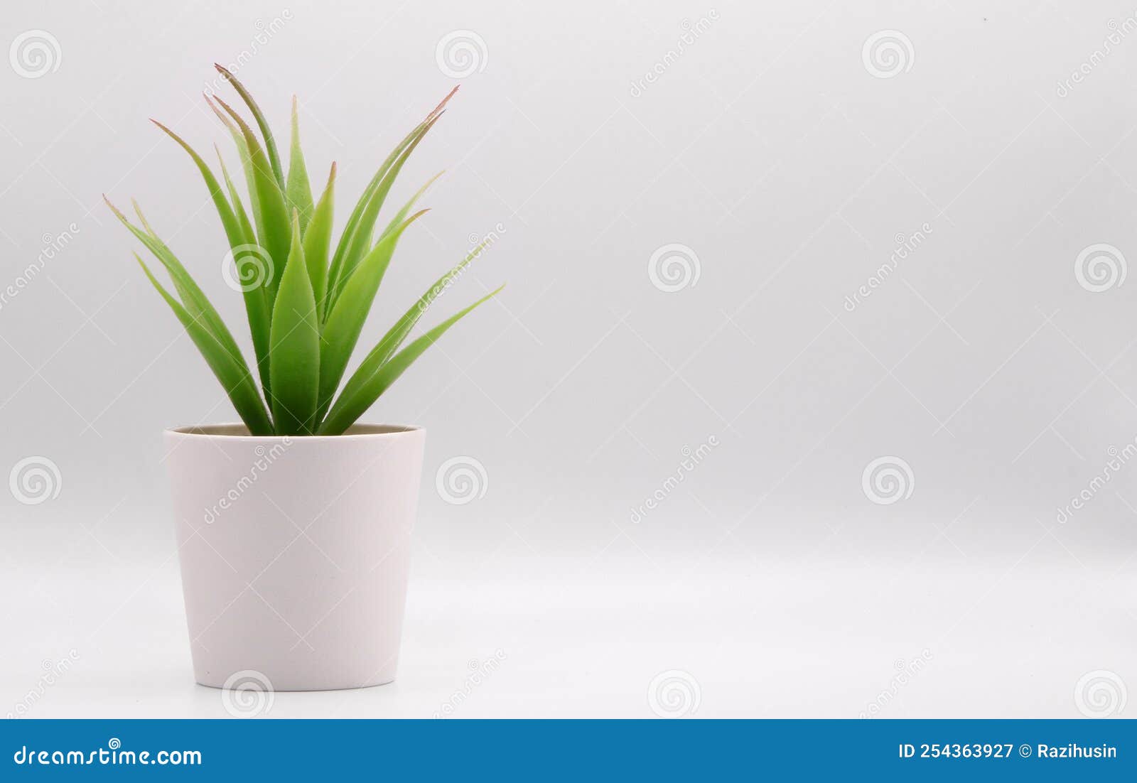 Artificial Potted Green Plant with Pot Over White Background Stock