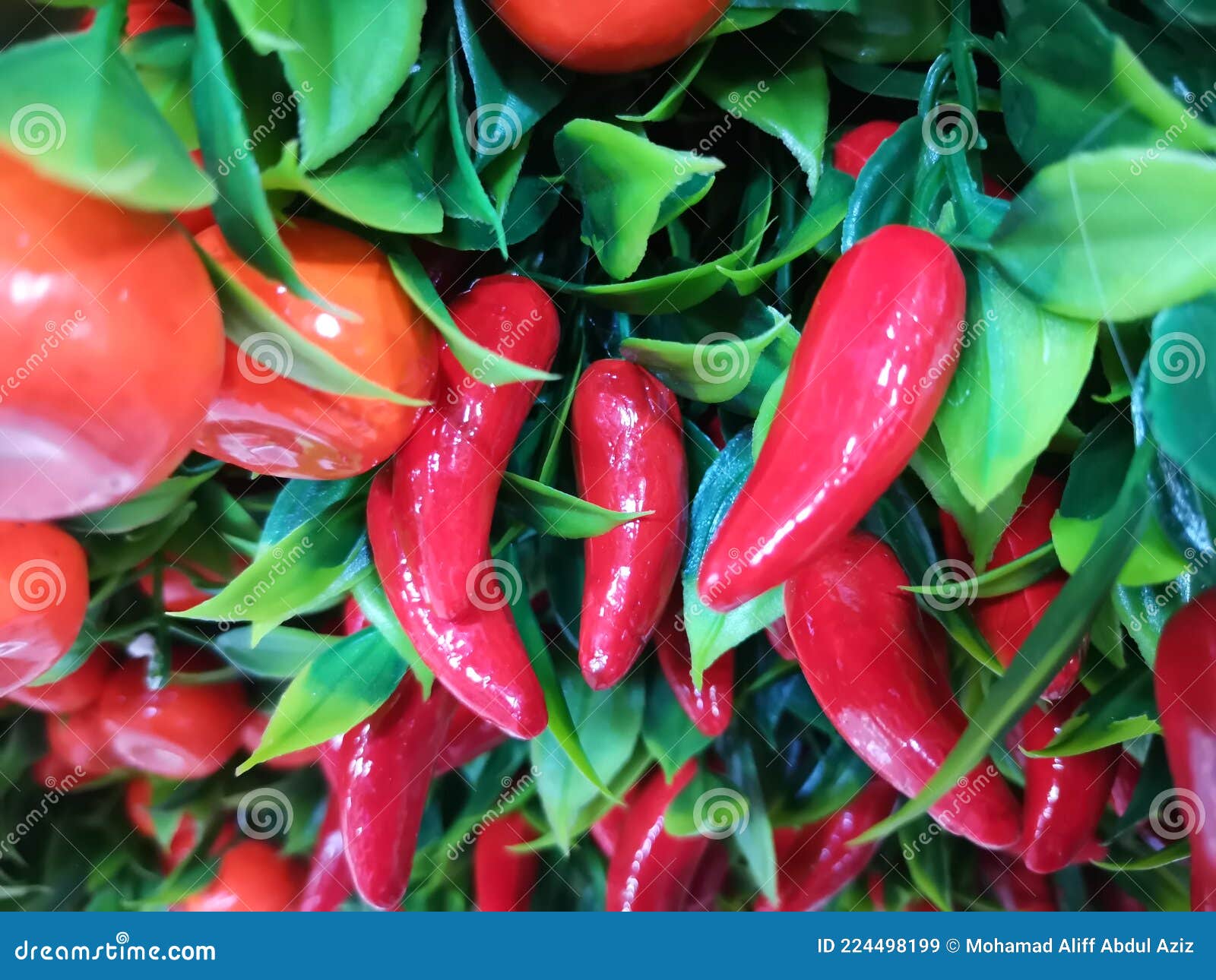 Artificial Red Chilies Stock Photos Free & RoyaltyFree Stock Photos