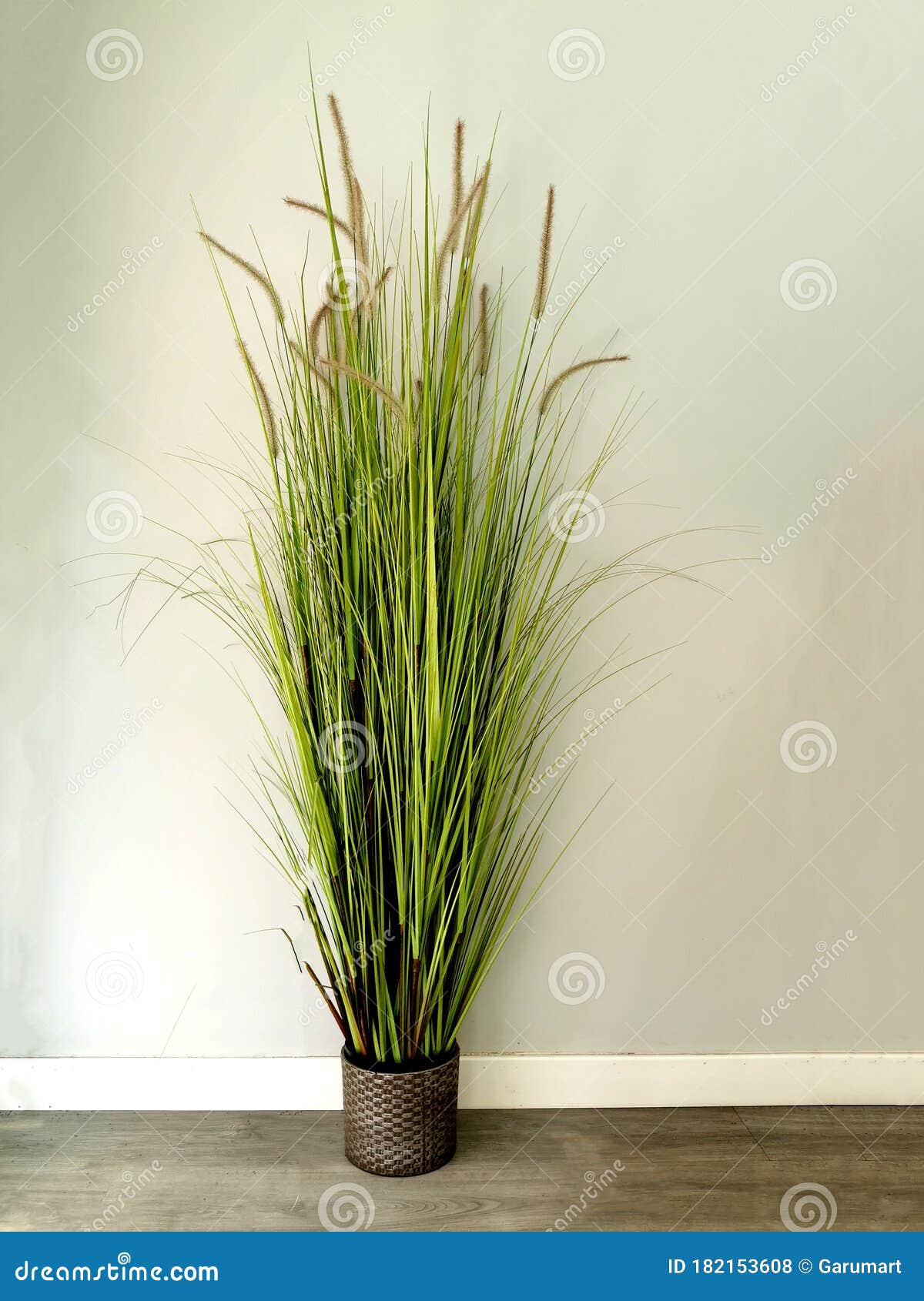 Artificial Reed Bush for Decoration Stock Photo Image of reed, fake
