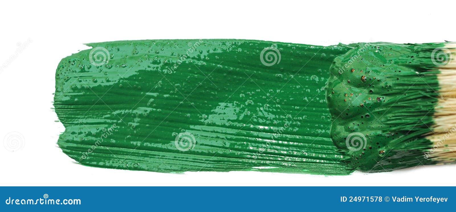 Artist Brush and Green Paint Scratch Stock Photo Image of canvas