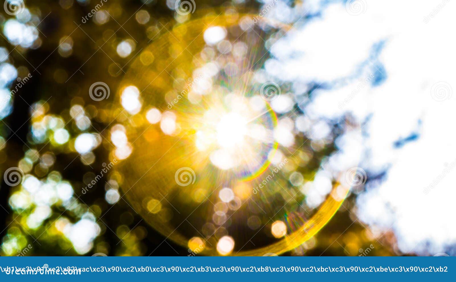 Artistic glare on the lens stock image. Image of background 174168283