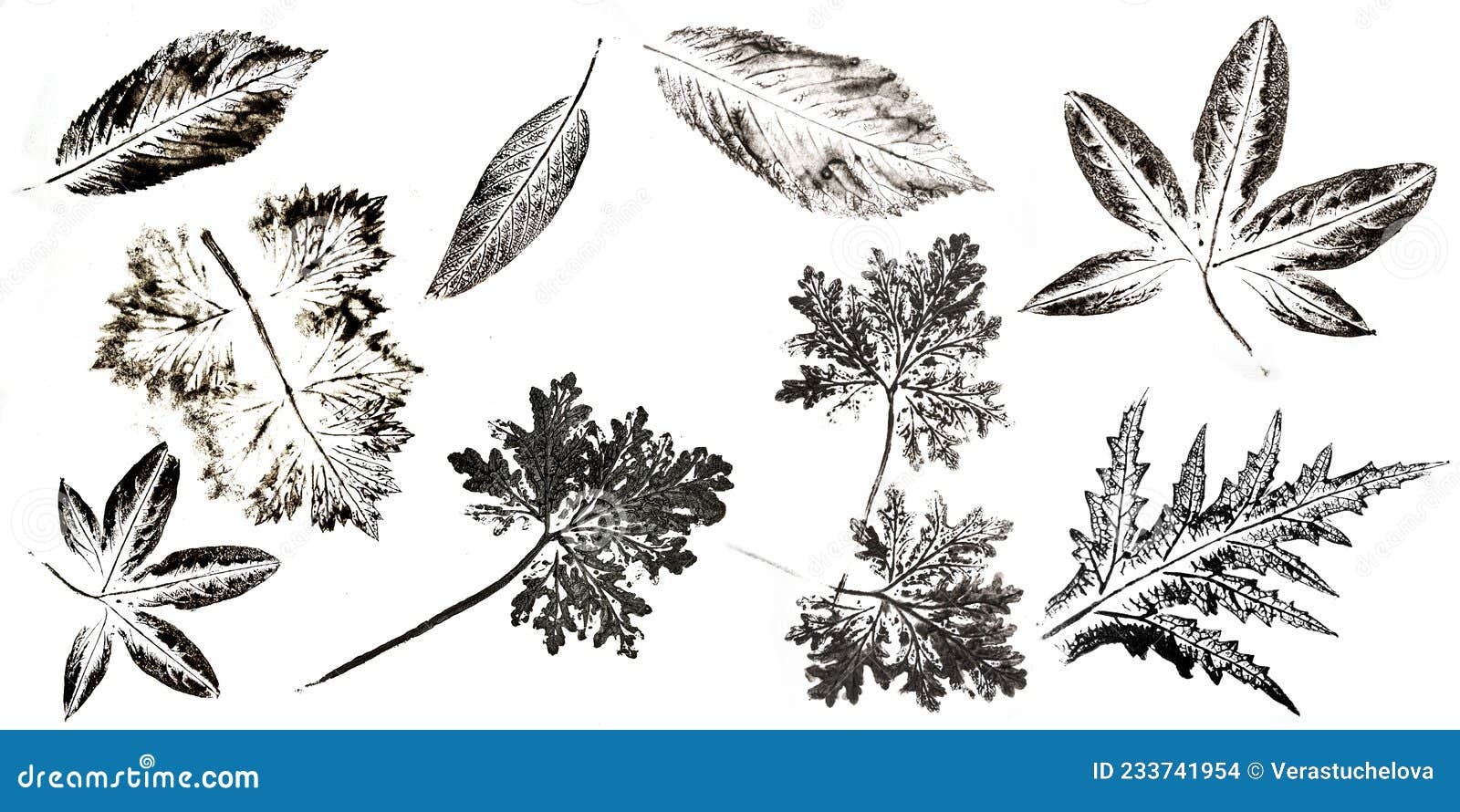 imprints of leaves - graphics - monoprint