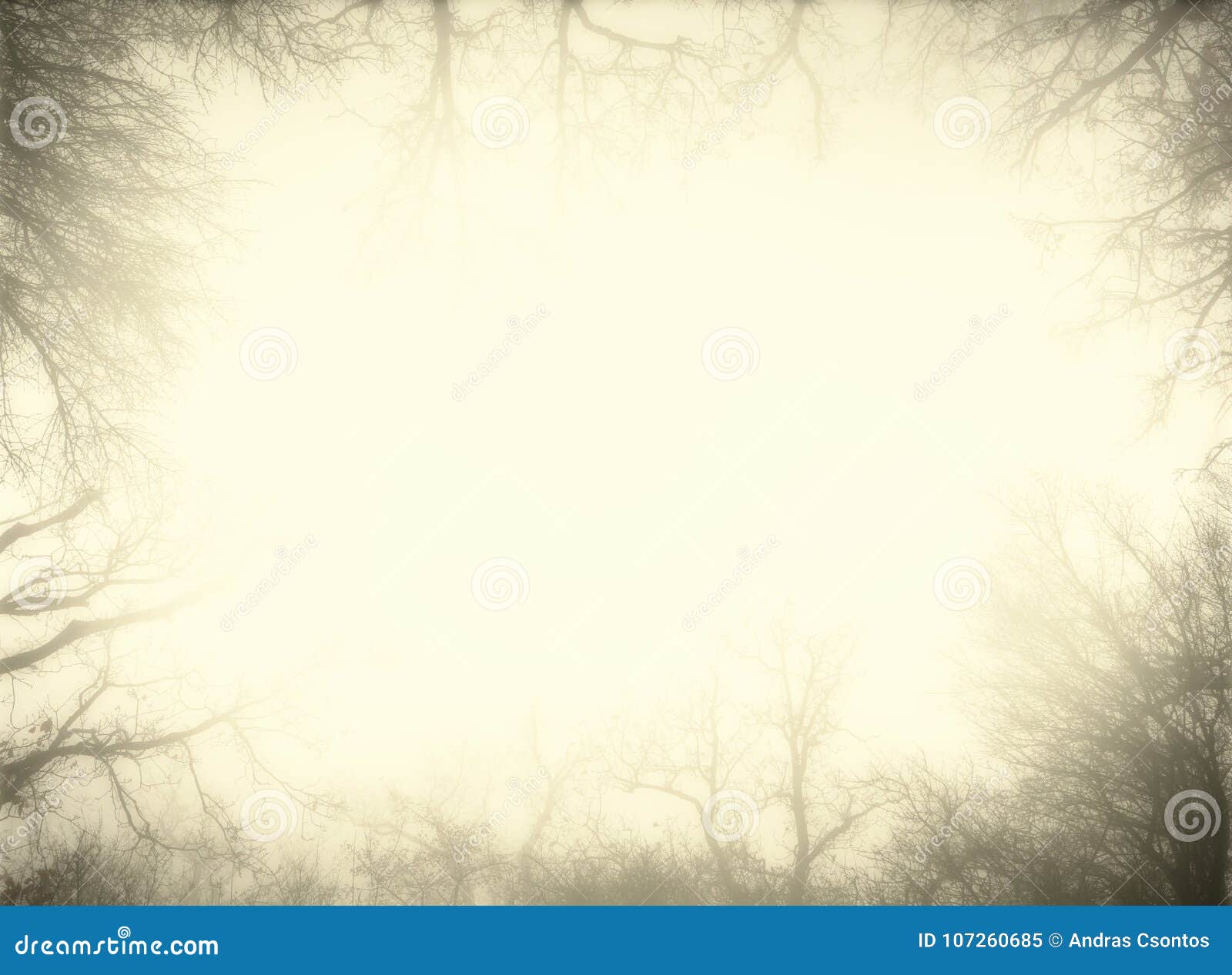 artistic sepia frame made from bare trees of a misty forest.