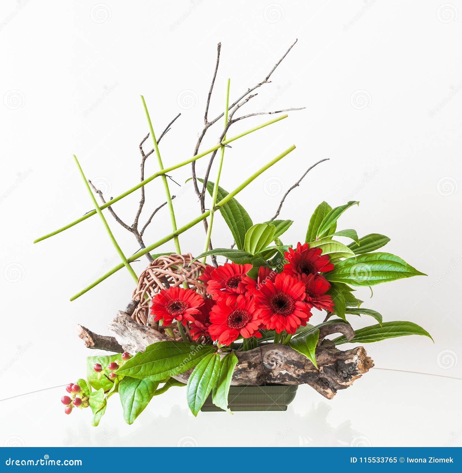 Artistieke Bloemstukken Rode Gerberas En Decoratieve Houten Wortels Stock Afbeelding - Image of decoratief, decoratie: 115533765