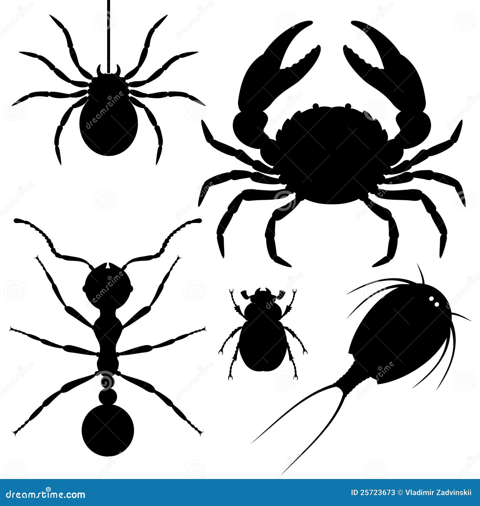 Artrópodos ilustración del vector. Ilustración de vector - 25723673