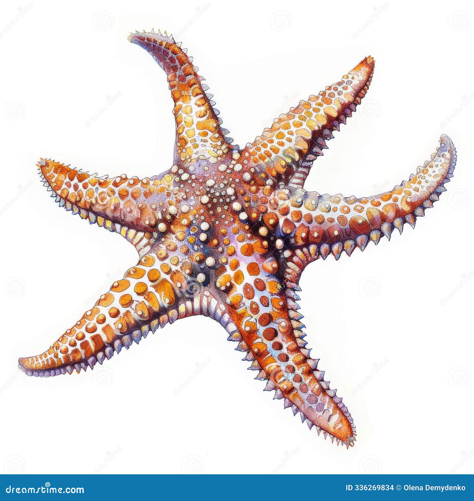 the artwork features a beautifully rendered sea star, highlighting its unique textures and patterns, demonstrating the