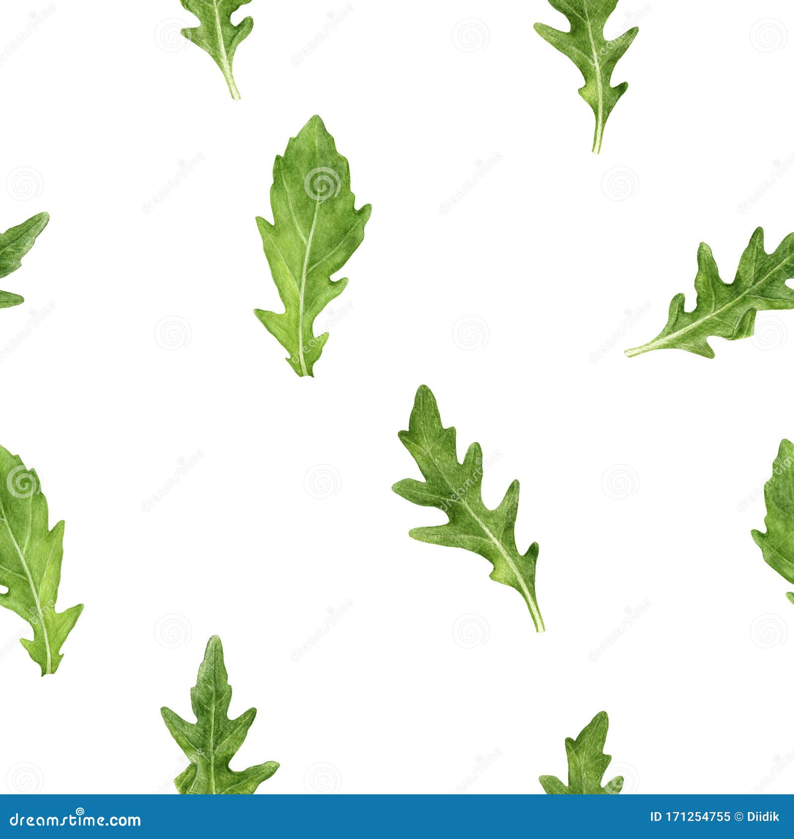 arugula leaf watercolor  seamless pattern.