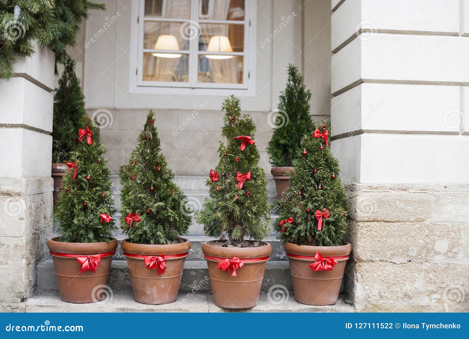 As árvores De Natal Decoradas Em Uns Potenciômetros Aproximam a Casa Foto de  Stock - Imagem de frente, verde: 127111522