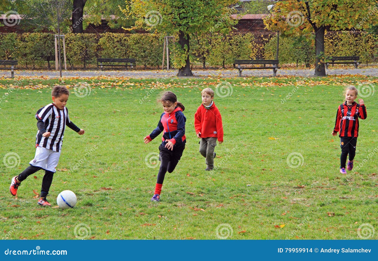 Campo De Futebol Na Velha Cidade De Jerusalem. Jogo Infantil Foto de Stock  Editorial - Imagem de objetivo, verde: 210147003
