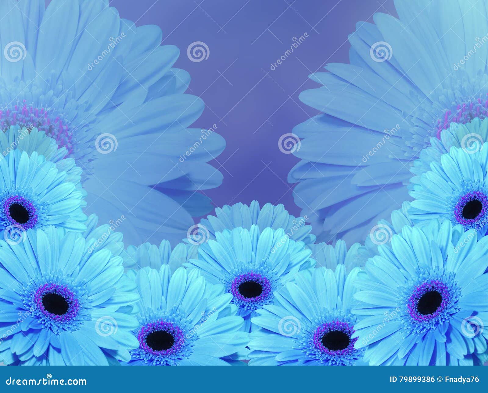 As Flores Azuis De Turquesa, No Azul Borraram O Fundo Closeup Foto de Stock  - Imagem de nave, paisagem: 79899386