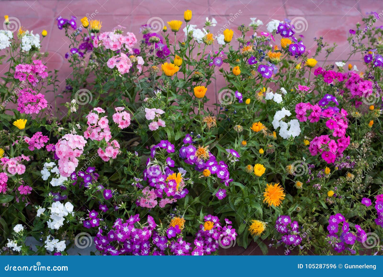 As Flores Pequenas Coloridas Da Variedade Com Verde Saem No Jardim Do Verão  Foto de Stock - Imagem de flora, ambiente: 105287596