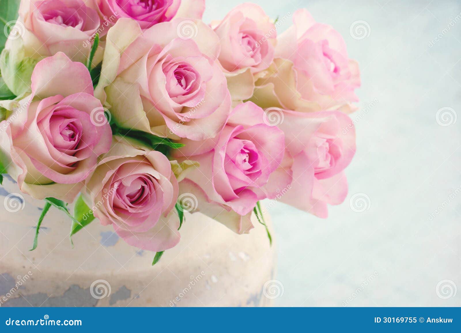 As Rosas Cor-de-rosa Em Um Metal Chique Gasto Bucket Imagem de Stock -  Imagem de floral, flor: 30169755