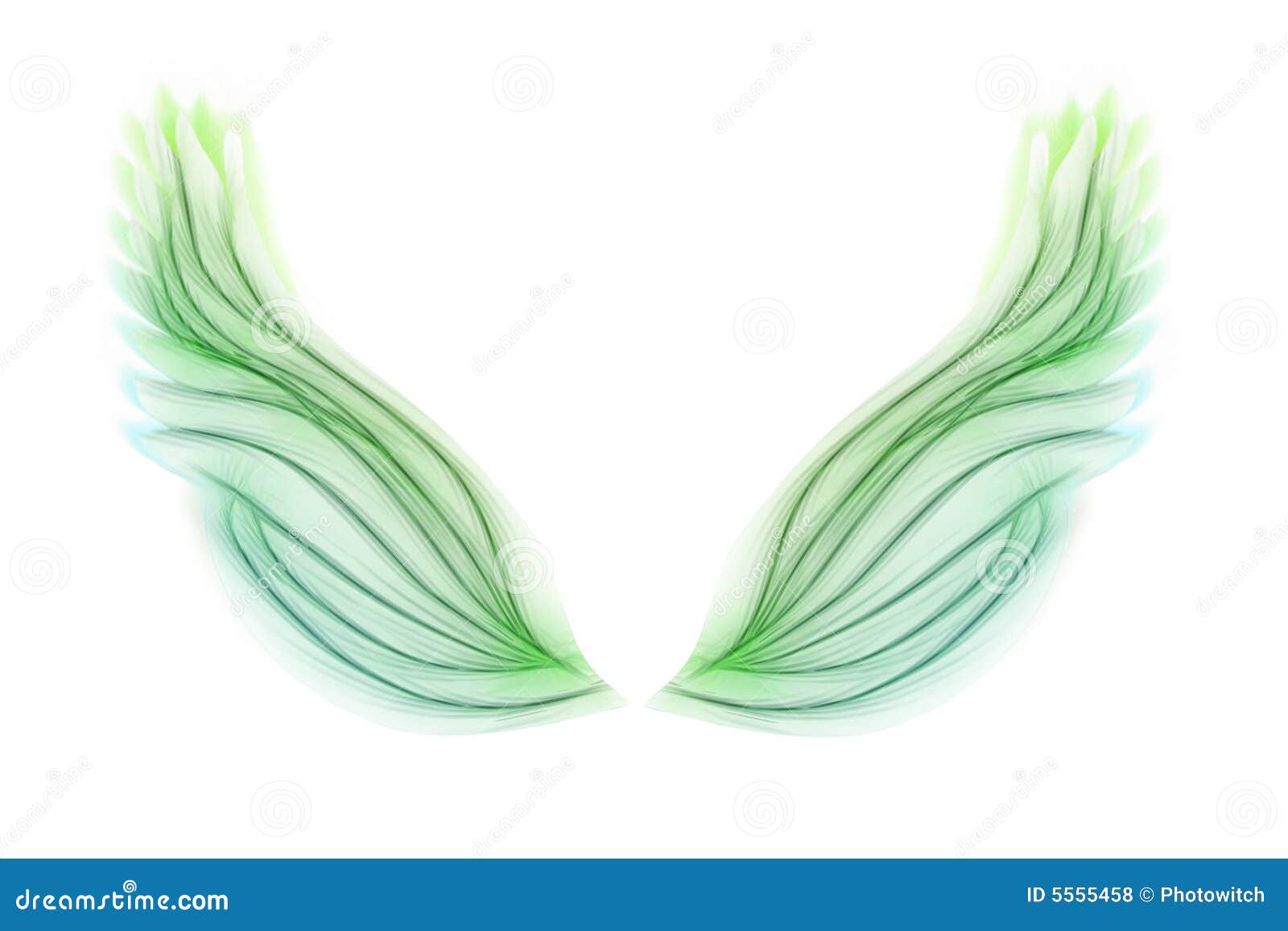 Verde Y Con Asas Significado Asas verdes ilustração stock. Ilustração de ninfa, cores - 5555458