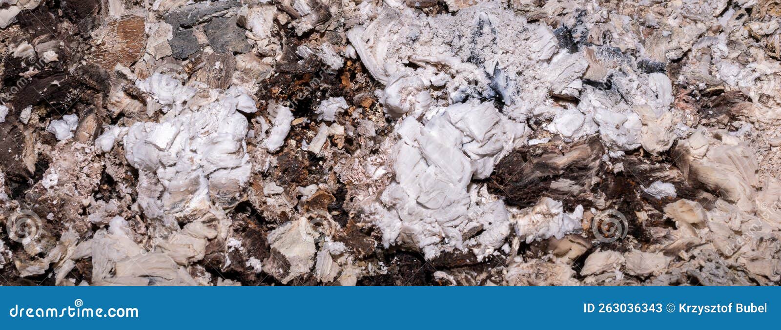 Ash from Burnt Wood with Visible Texture Stock Image Image of