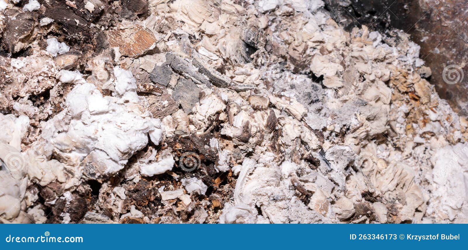 Ash from Burnt Wood with Visible Texture Stock Image Image of pattern