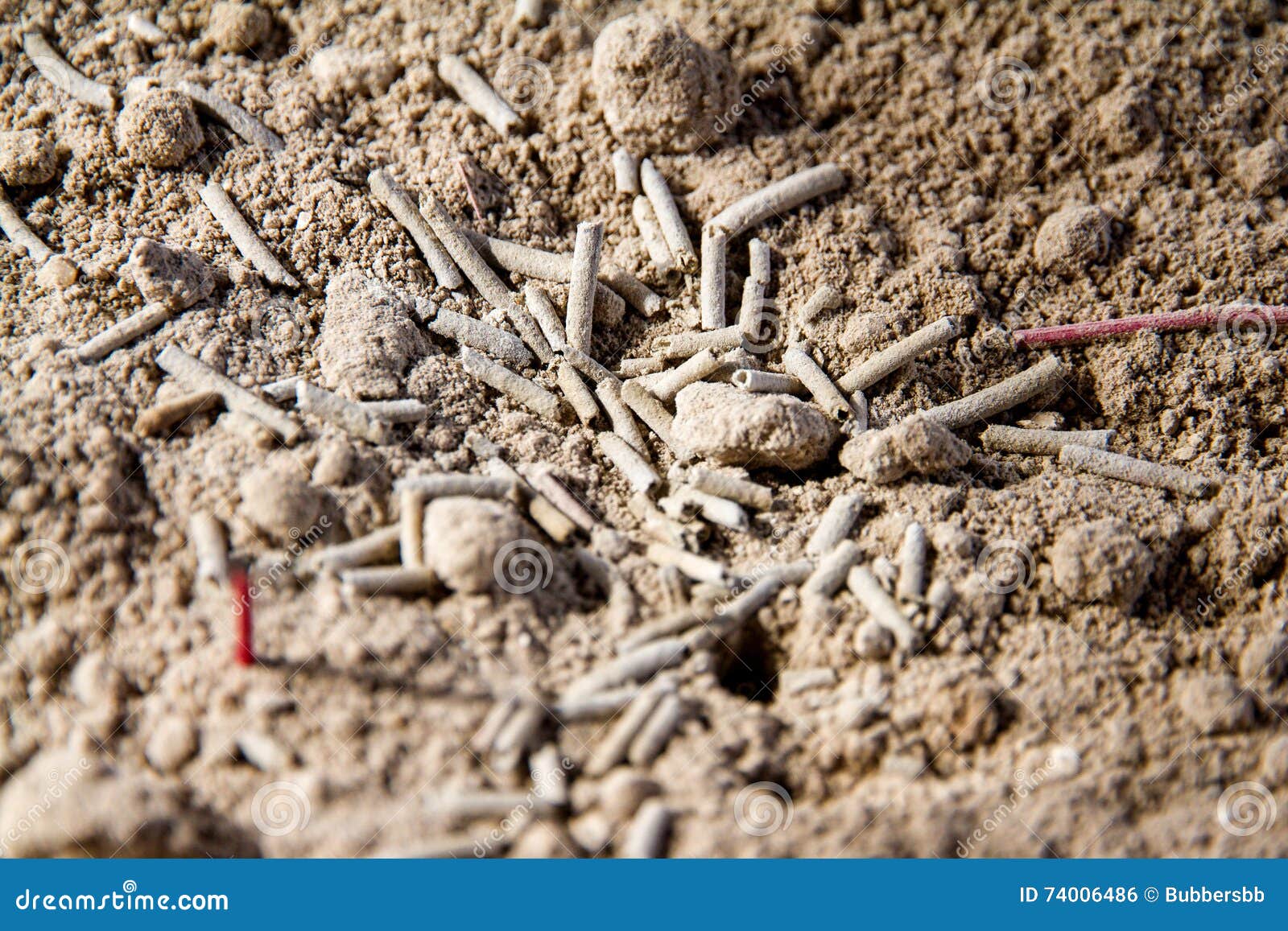 Ash Joss in incense burner stock photo. Image of superstition 74006486