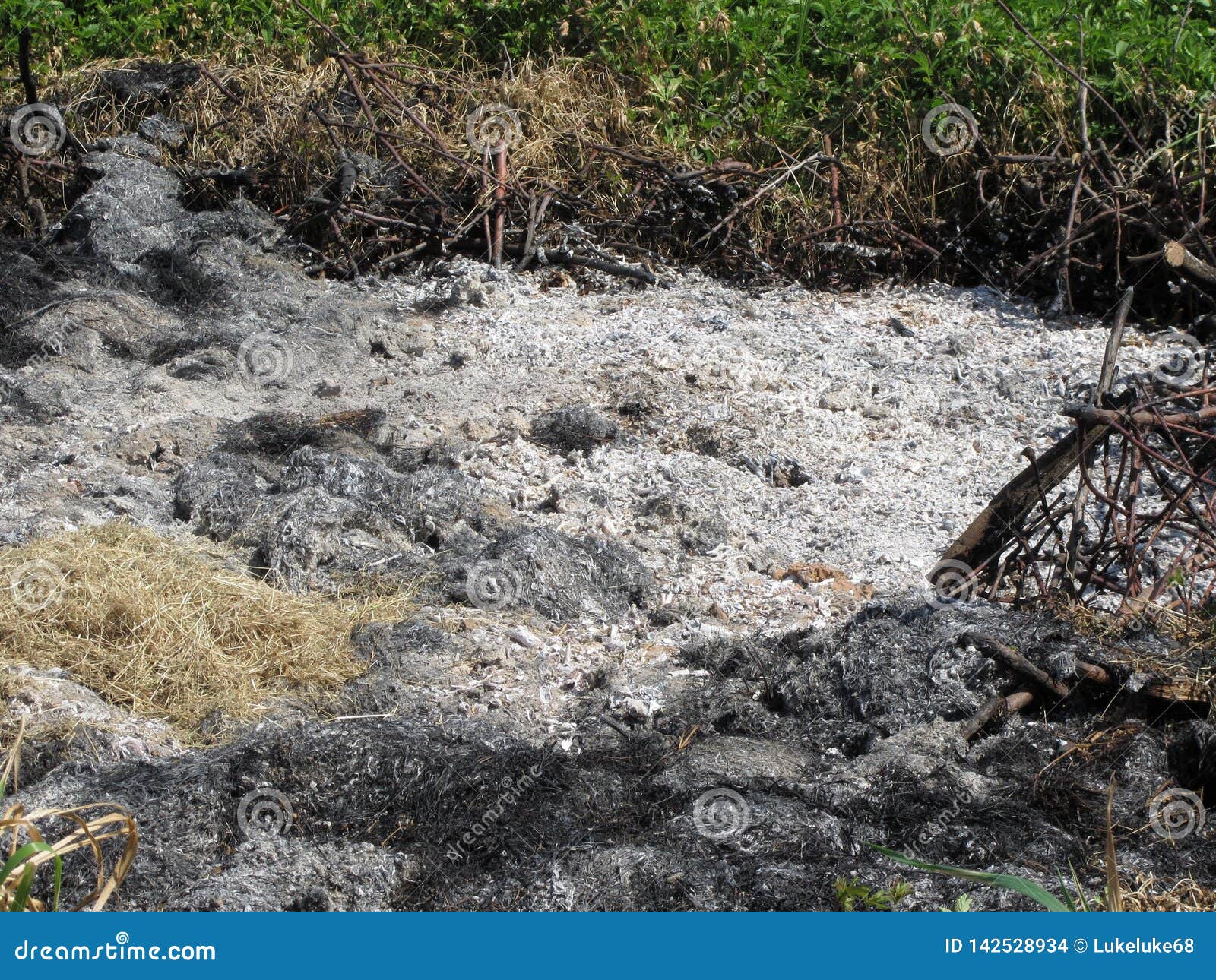 Ashes after Burn the Grass and Wood Chips Finish Stock Photo Image of