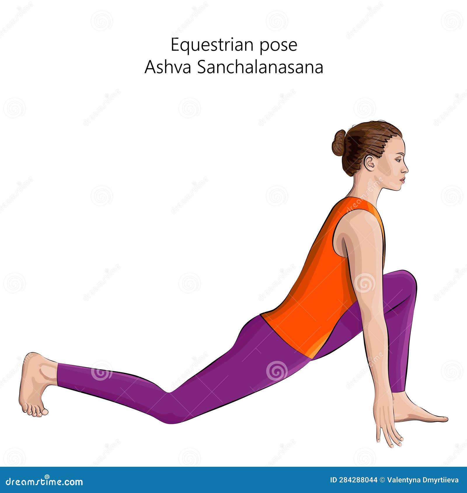Sketch Of Young Woman Practicing Yoga Doing Equestrian Pose Ashva  Sanchalanasana Arm Leg Support And Balancing Beginner Isolated Vector  Illustration Stock Illustration - Download Image Now - iStock