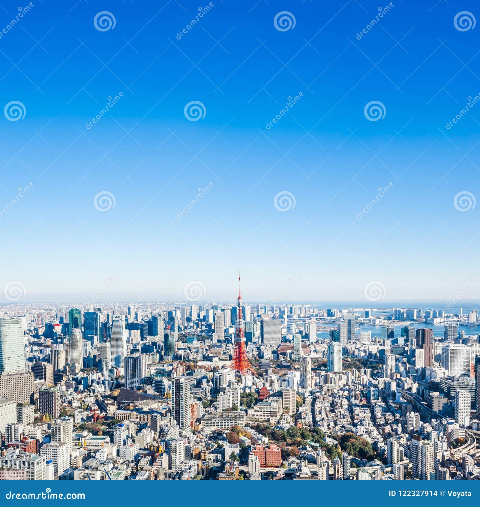 My Image 5