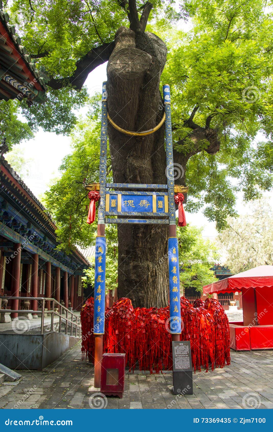 Asia China, Beijing, Dongyue Temple, Landscape Architecture, The Ancient Pagoda Tree Editorial ... Asia China, Beijing, Dongyue Temple, Landscape Architecture, The Ancient Pagoda Tree Editorial ... on Chinese Landscape Architecture
id=28787