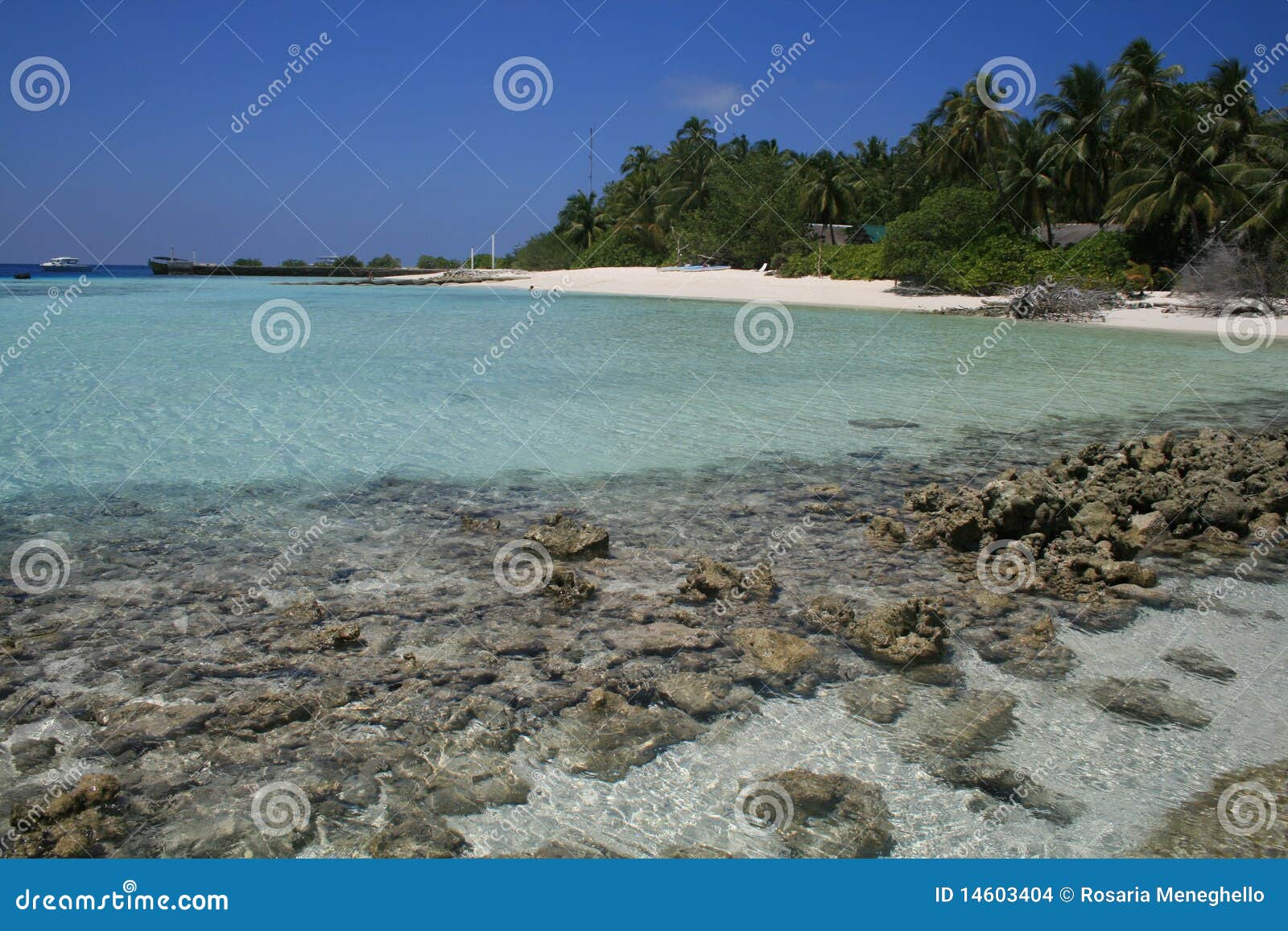 asia,maldive, coral reef at asdu