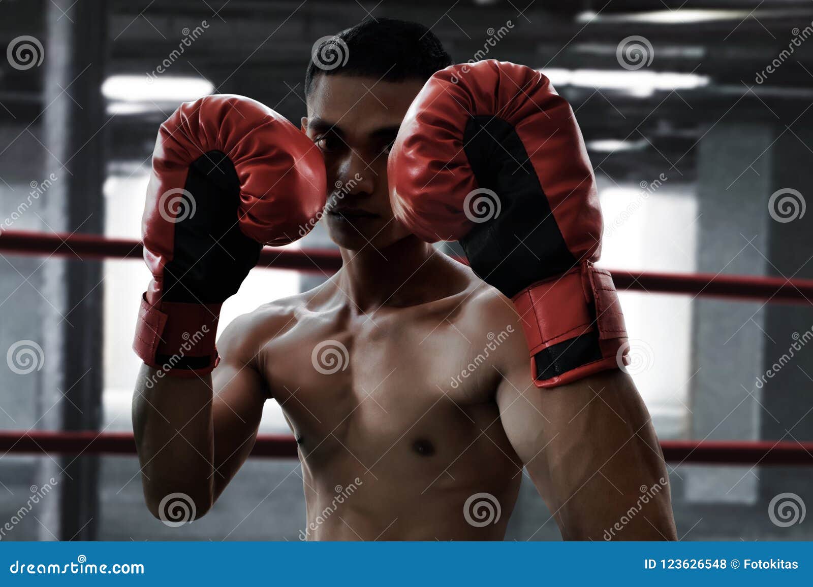 Asian boxer in the ring stock photo. Image of muscular 123626548