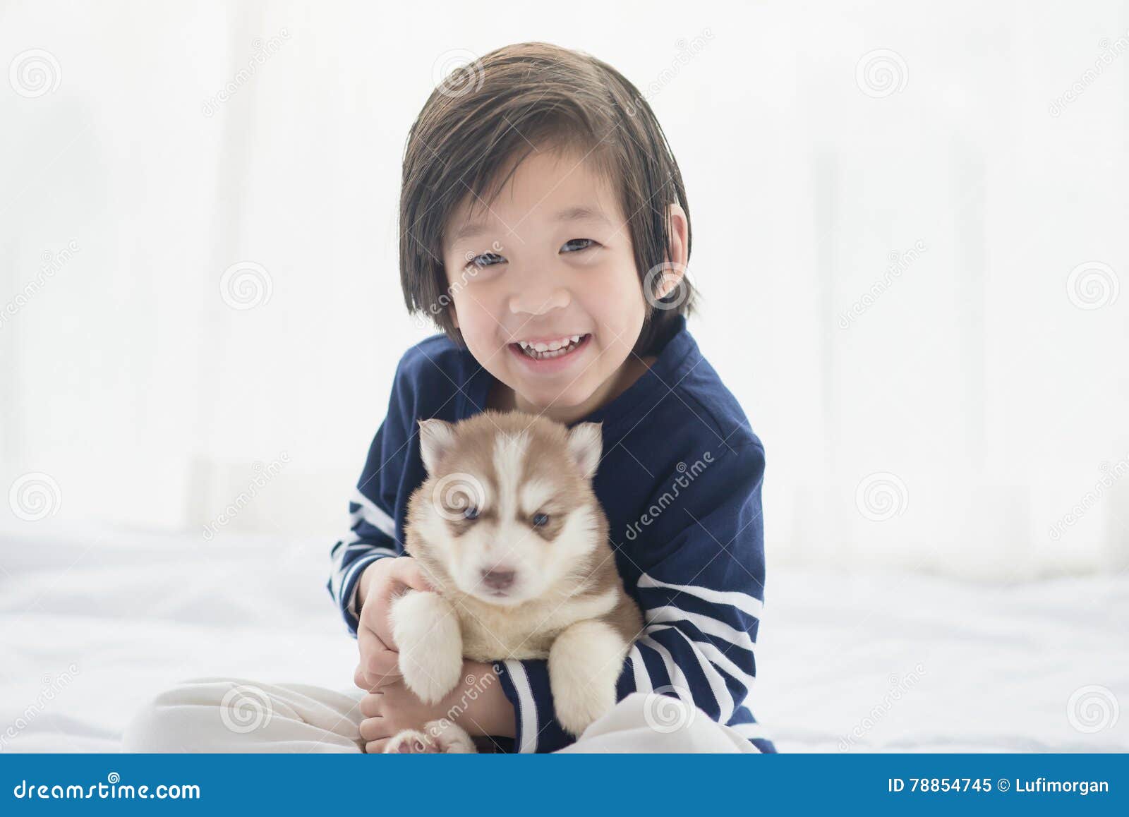 cute baby white husky puppies