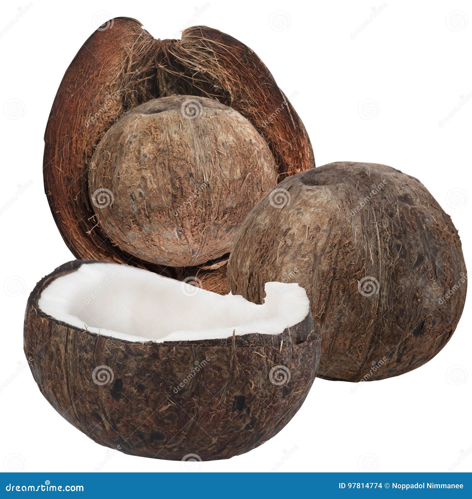 Asian coconut isolated on white. Asian coconut with shell tropical fruit isolated on white