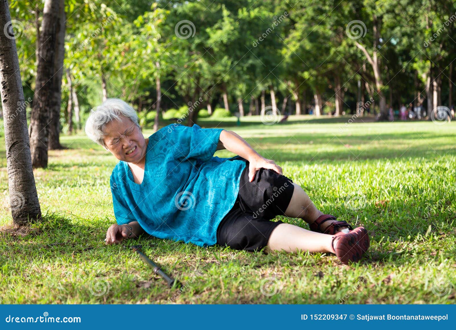 people walking in the park