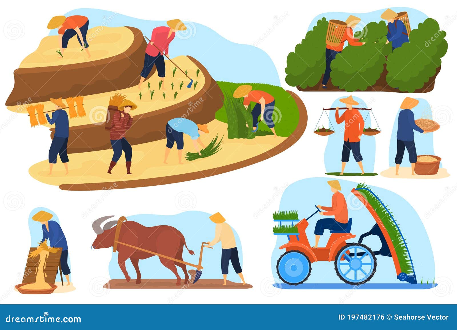 Asian Farm Rice Fields Vector Illustration Set, Cartoon Flat Farmer ...