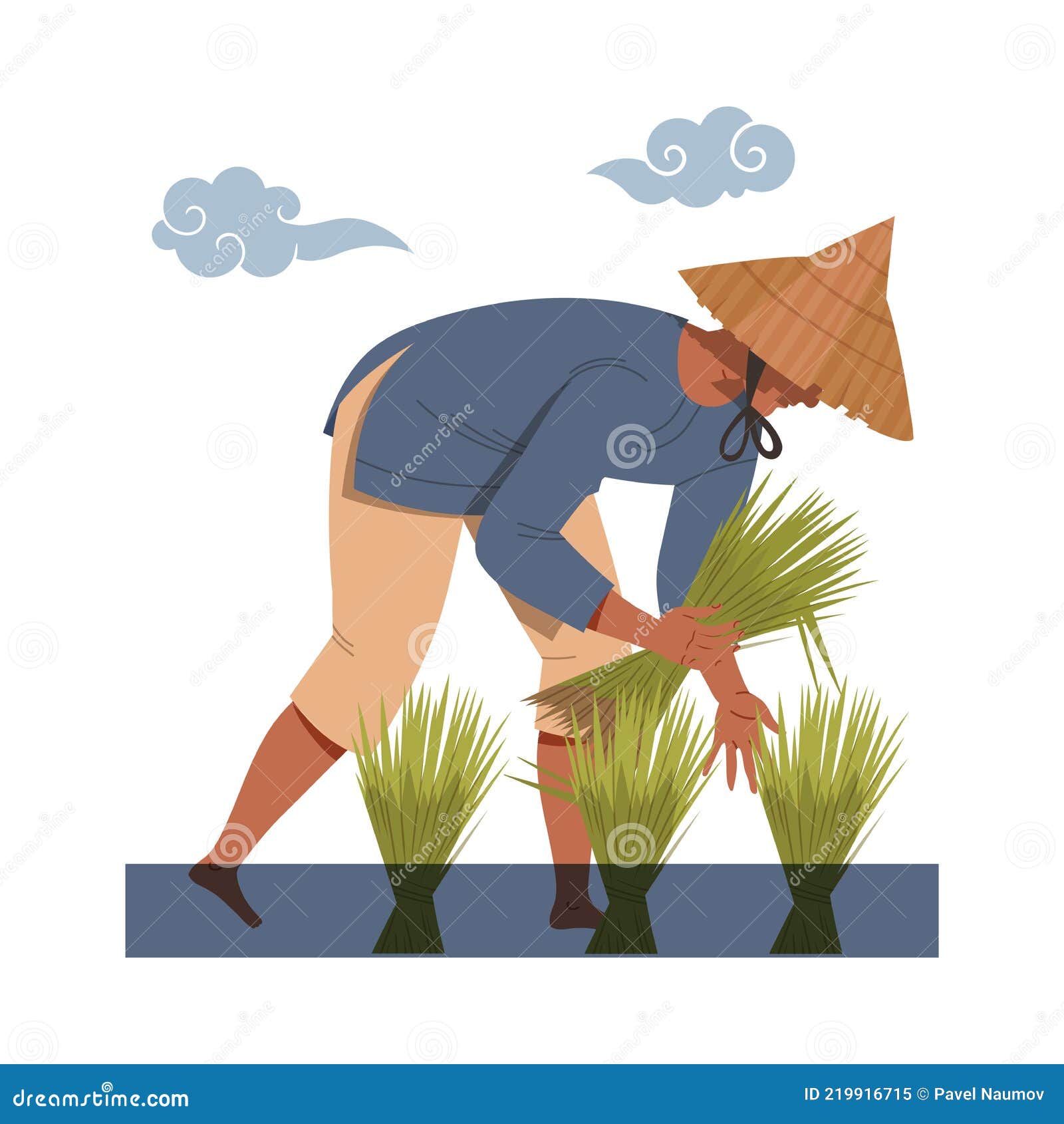 Asian Farmer in Straw Conical Hat Gathering Rice Grass in Bundles ...