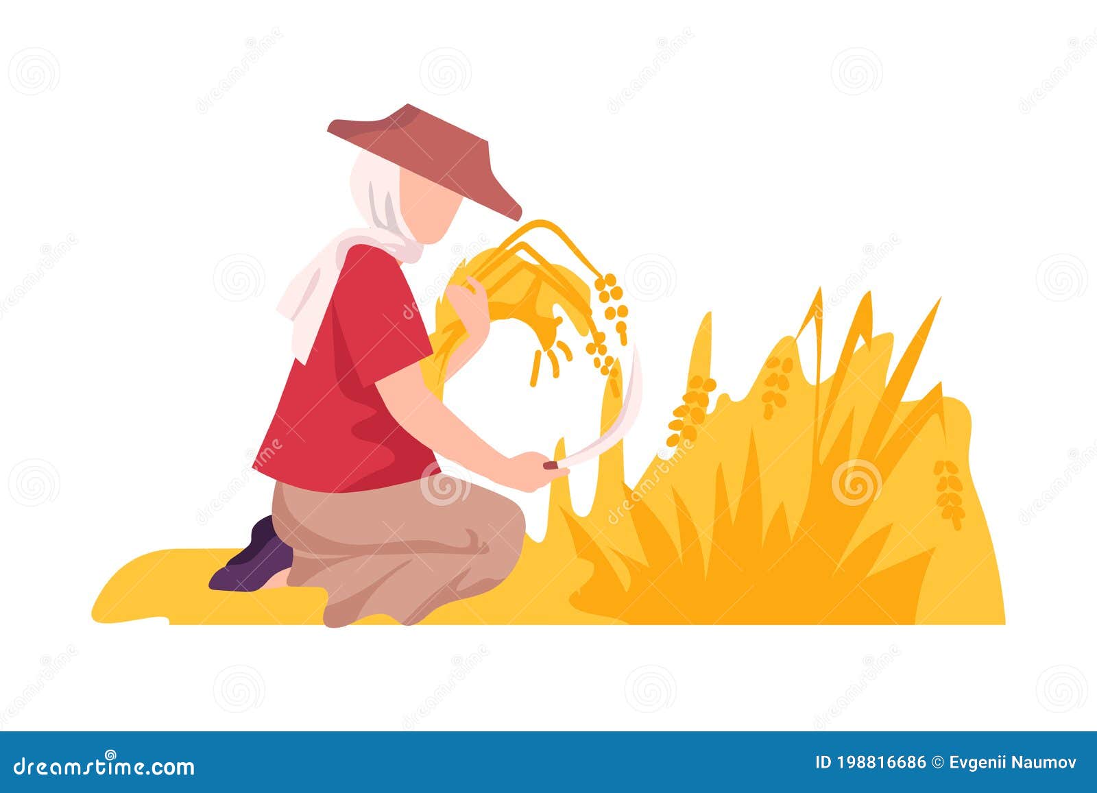 Asian Female Farmer with Hook Reaping Ear of Wheat Vector Illustration Stock Vector - Illustration of peasant, farming: 198816686 Asian Female Farmer with Hook Reaping Ear of Wheat Vector Illustration Stock Vector - Illustration of peasant, farming: 198816686