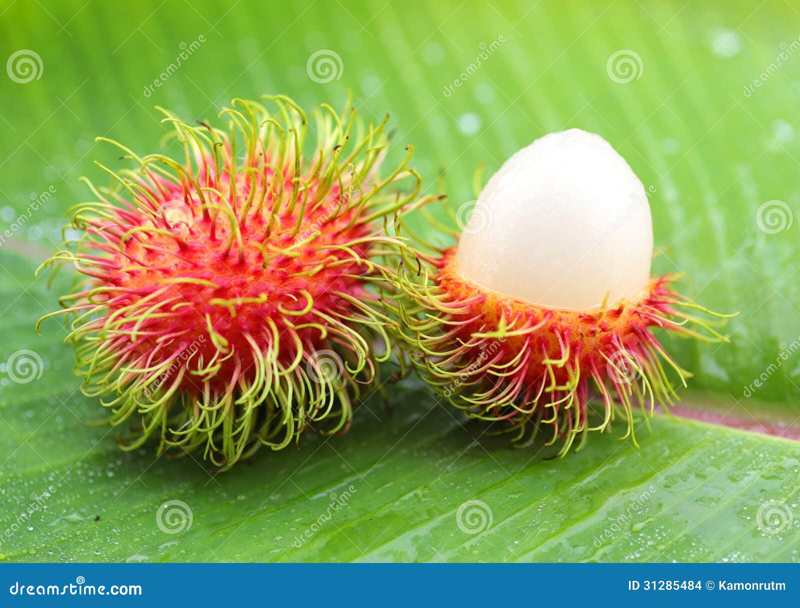 asian fruit rambutan stock photo. image of green, fresh - 31285484