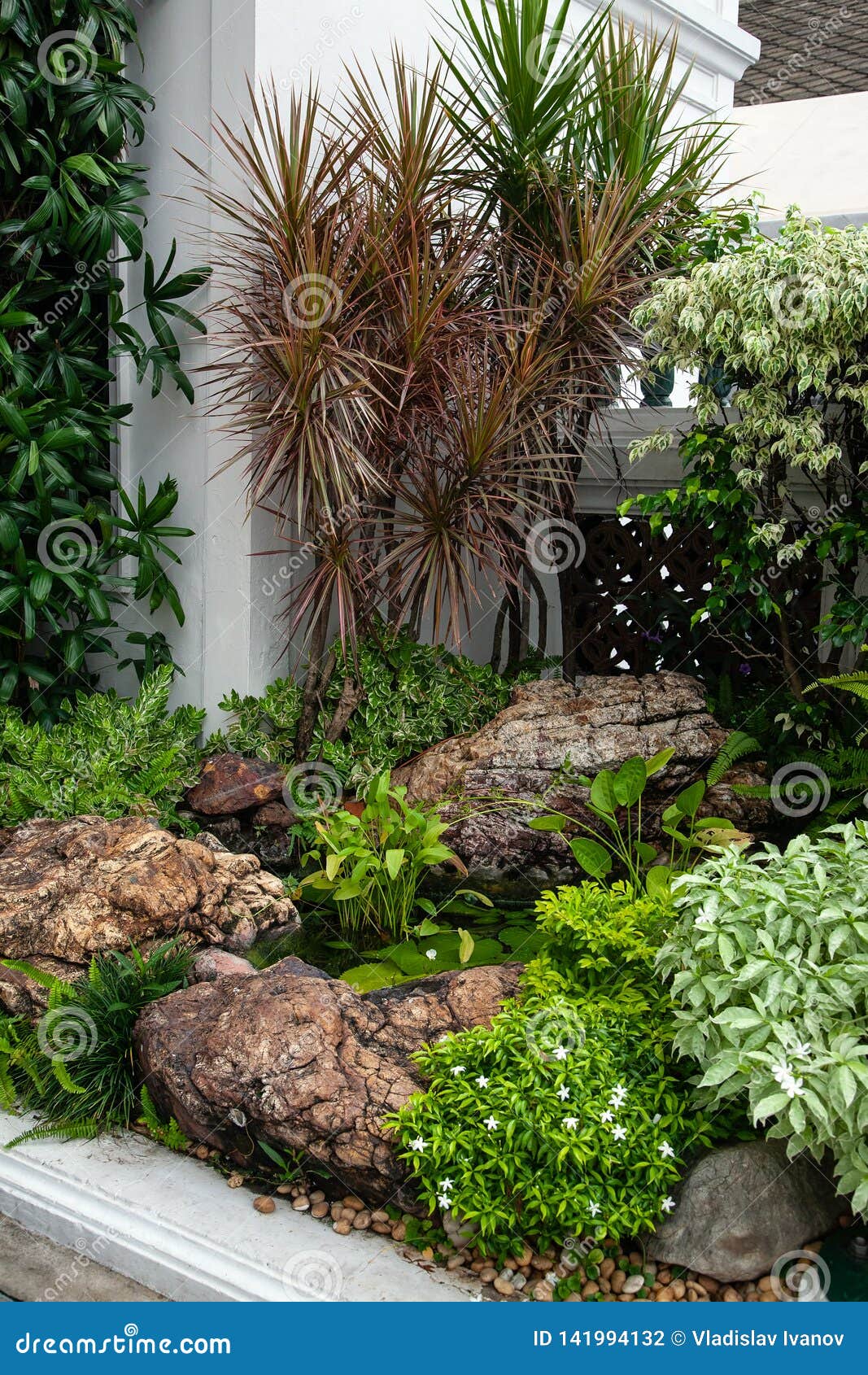 Asian Garden Landscape In Bangkok Thailand Stock Photo Image Of